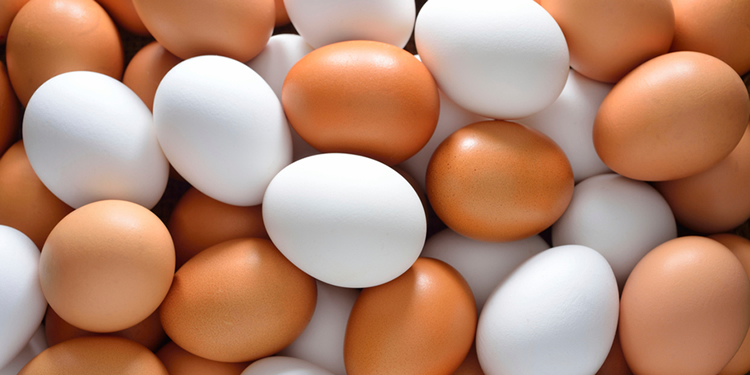 Sabías que el huevo es el alimento que tiene la proteína más completa y de mejor calidad